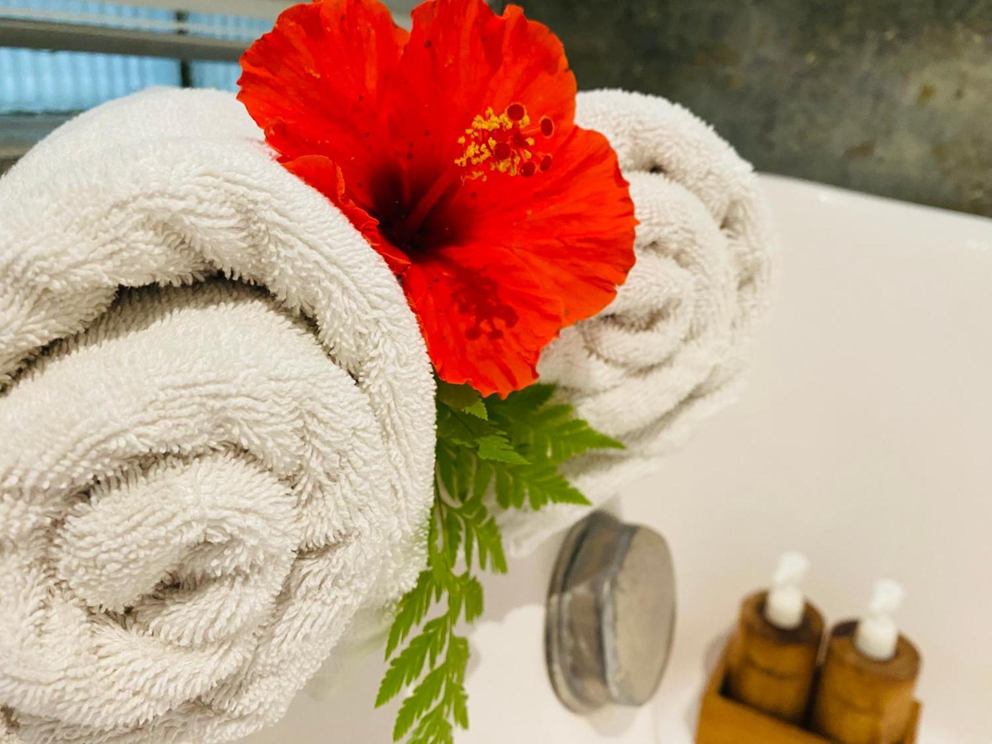 Aura Bisma Guesthouse Ubud  Ngoại thất bức ảnh