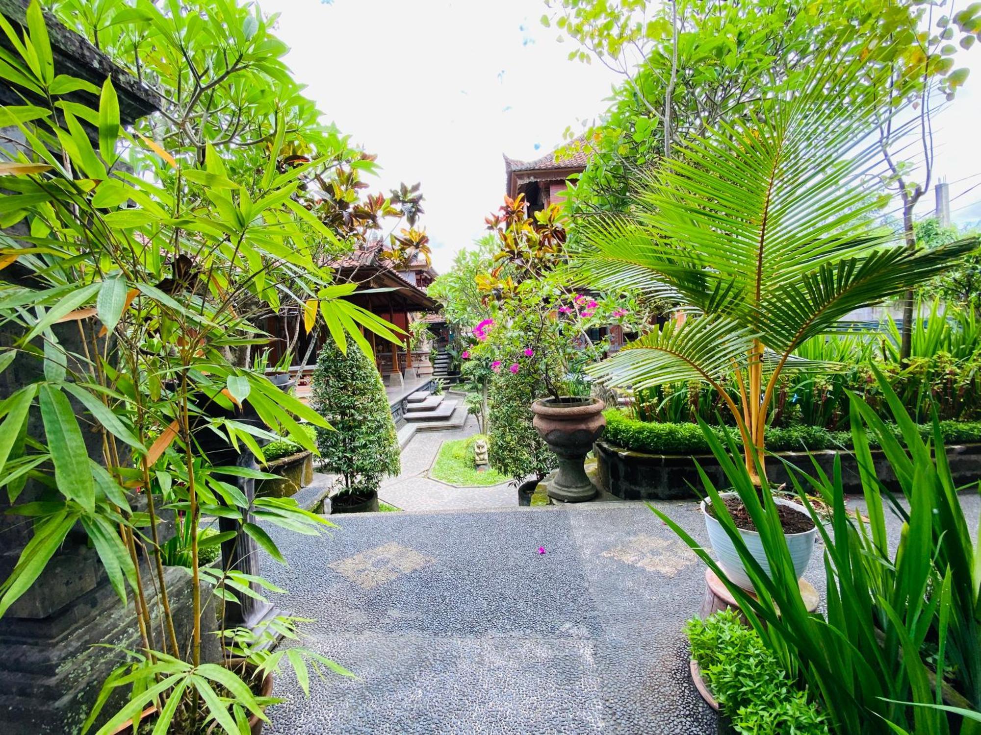 Aura Bisma Guesthouse Ubud  Ngoại thất bức ảnh
